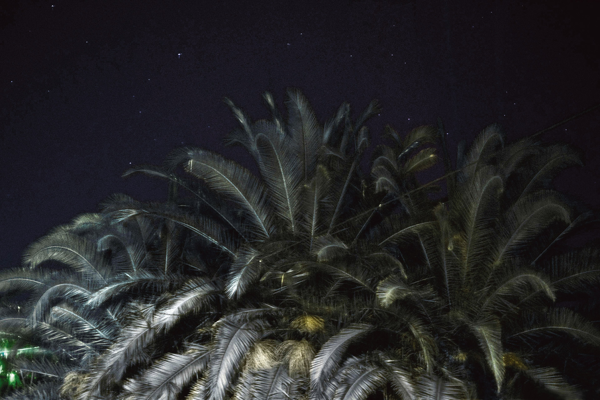 Déguisement Mille Et Une Nuit Homme